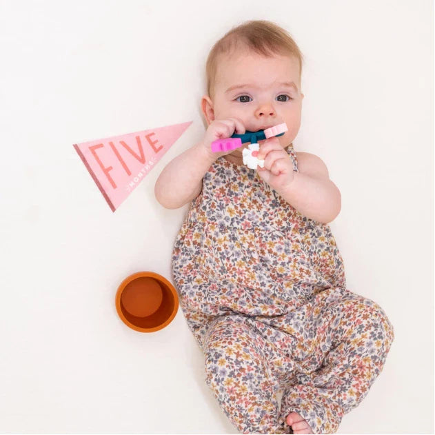 Blushing Meadow Petit Milestone Pennant