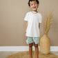 Mason Shorts