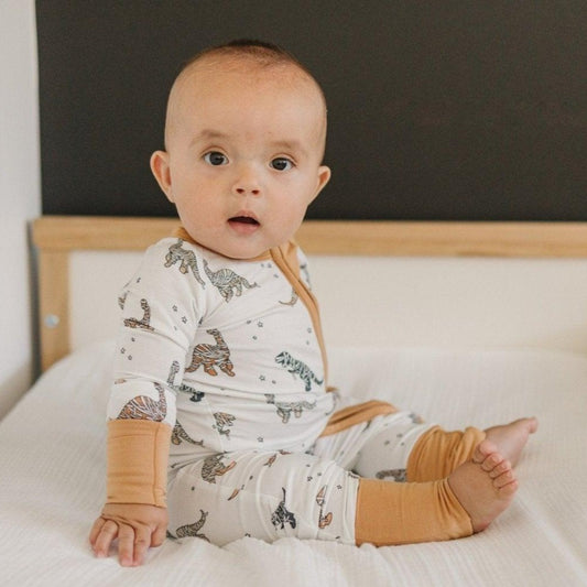 Mummy - Saurus Rex Bamboo Zippy Romper - Little Joy Co.