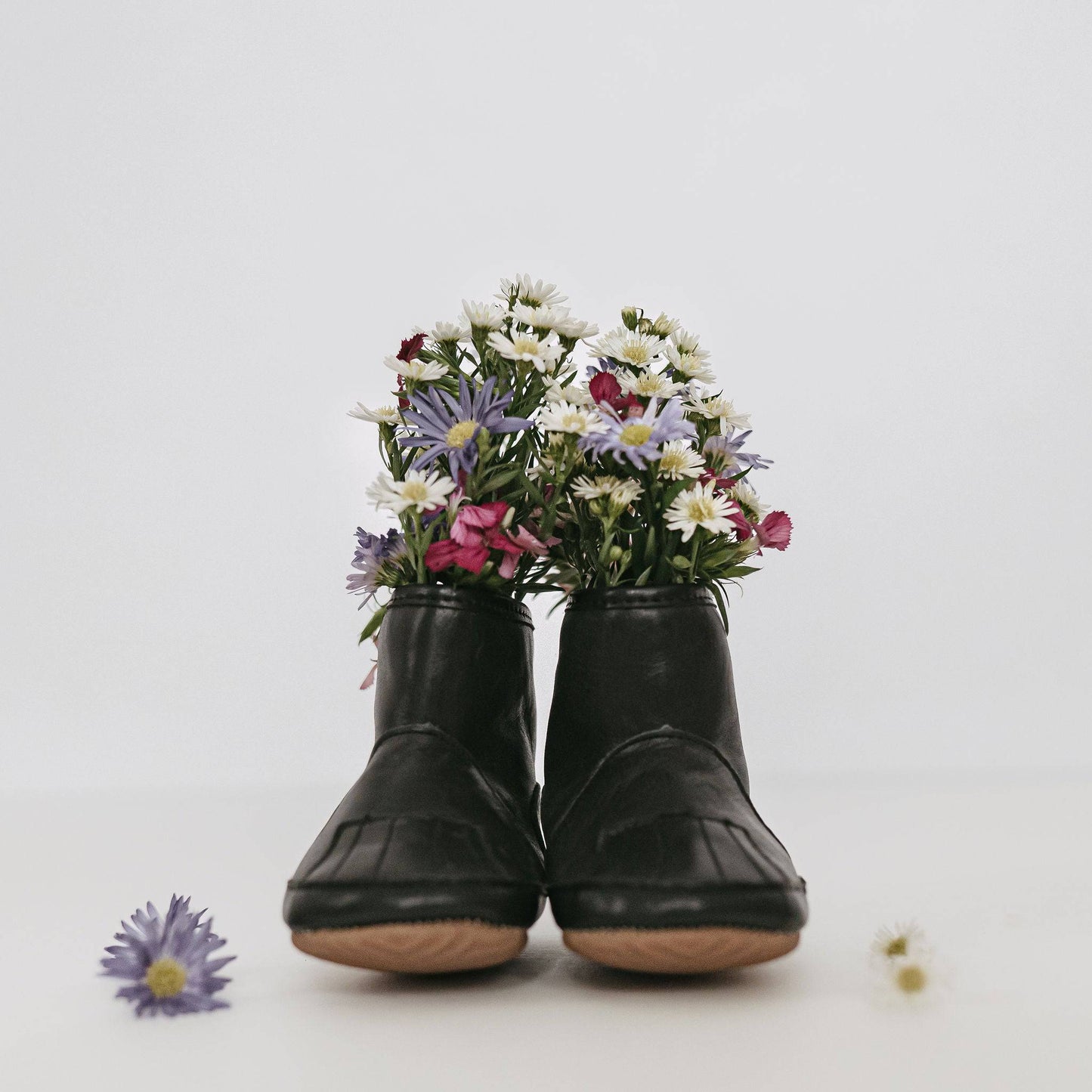 Pre-Order The Dexter Boot